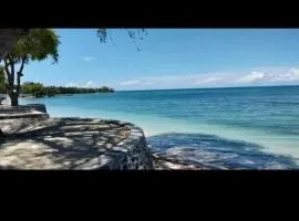 Beach House D Laiya Batangas