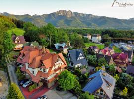 Willa Michałówka – hotel w pobliżu miejsca Aqua Park Zakopane w Zakopanem