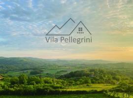 Vila Pellegrini, cabaña o casa de campo en Arandjelovac