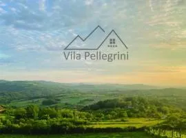 Vila Pellegrini
