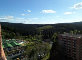 Ferienwohnung Rapunzel, hotel in Altenau