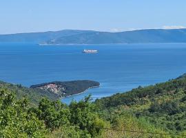 Casa Grande - Violette, Silver and Golden apartments with park and sea view, Hotel in Labin