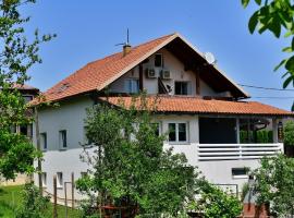 House Bićanić, rumah tamu di Seliste Dreznicko