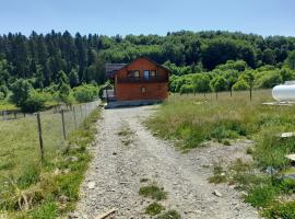 Casa Lucretiu, помешкання для відпустки у місті Păltinoasa