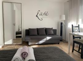 Top Modernes 1-Zimmer-Apartment mit Küche, Parkplatz, kostenfreiem WLAN und Netflix, apartamento em Bad Soden-Salmünster