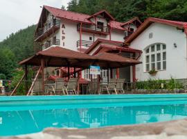Pensiunea Alpin, מלון עם חניה בפלטיניש