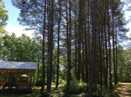 Reinholdi puhkemaja, vacation home in Jabara