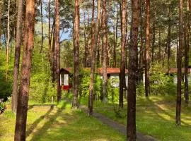 Bungalow im Kiefernwald direkt an der Ostsee (b)