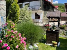 La Buna Văliug, holiday rental in Văliug