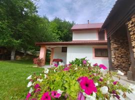 Holiday House Trnovac, hotel in Trnovac