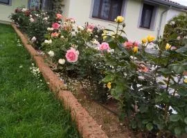 B&B Fili d'erba