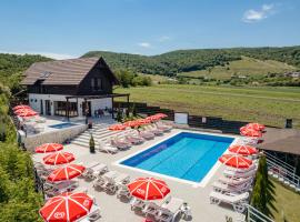 Pensiunea Perla Transilvaniei, hotel v destinaci Moldoveneşti