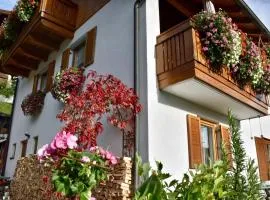 Haus Vlcek