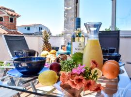 Blue Swan Residence - Central Pirovac - Beach - Netflix, hotel in Pirovac