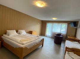 SKY Rooms, Mountainous View, pension in Saas