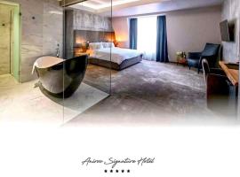 Aniroc Signature Hotel, hotel v mestu Arad