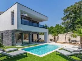 Superb Design Villa Medulin