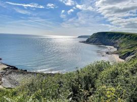 Port Mulgrave cosy cottage，Hinderwell的小屋