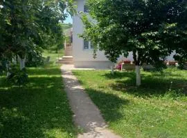 Apartman Flora Vrdnik