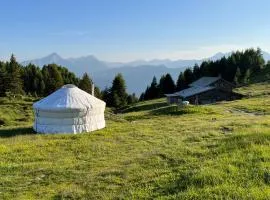 Alp Jurte Skihütte Feldis