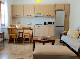 Paros House Rema