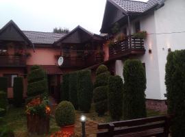 Pensiunea Denisa, cheap hotel in Săcăluşeşti