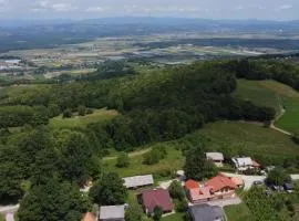 ApartmaVid