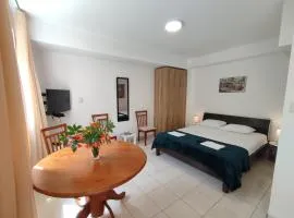 Studio Apartman Radimir