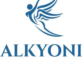 ALKYONI STUDIOS，阿莫爾戈斯的飯店