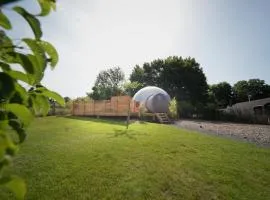 Bulles Odette & Ginette et Tiny House Suzette "Au guet Marais" Etape Insolite、Paliseulのタイニーハウス