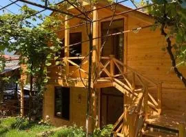 Guest House Okropilauri