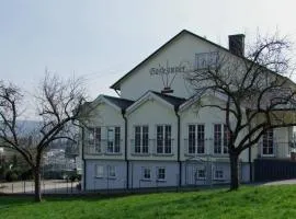 Wein & Gästehaus Rosenlay