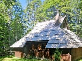 Koča Pastirica - Velika planina, горнолыжный отель в городе Стаховица