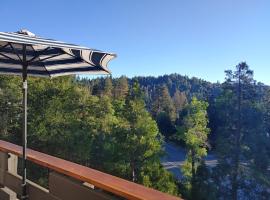 The Lake House, hotel with parking in Crestline