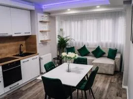 Scandinavian Lux Apartment Oradea