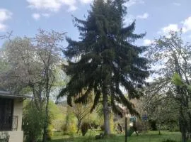 beausejour