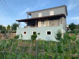 Apartments Villa Luti