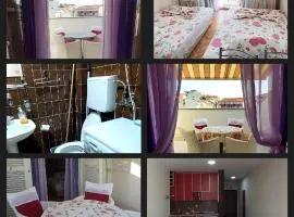 Sunčani apartman 1-Vila Amfora