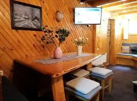 VILA 51 KOPAONIK CENTAR