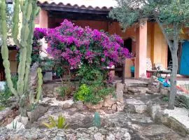 Villa bouganville splendido appartamento