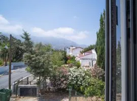 Beautiful Two-bedroom Apartment with Sea and Mountain views Sel 8-5