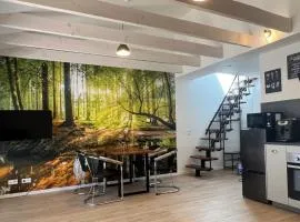 Loft Wohnung Appartement auf 2 Etagen, Nähe Neckar