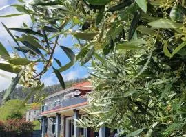 Yeotown Wellness Hotel