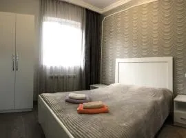 Edgars apart. Бесплатный трансфер в аэропорт.