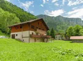 Grand appartement proche Gd Bornand