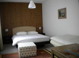 Hotel Gotthard, hotel u gradu Gurtnellen