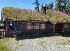 Berghstua - Natrudstilen på Sjusjøen, holiday rental in Sjusjøen