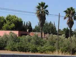 A 6 km da Porto Cesareo, la casa del carrubo