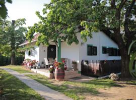 Apartment Amigo, hotel med pool i Sirova Katalena