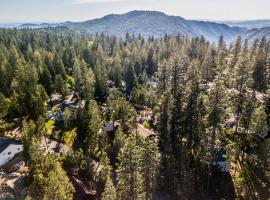 High Sierra Cabin with Grill, Serene Location!, hotel with parking in Twain Harte